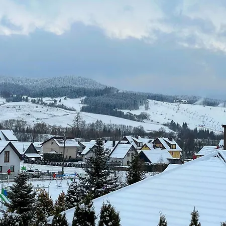 Skandynawski Daire *